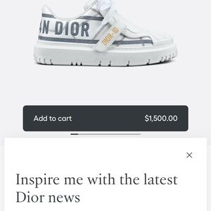 🚩steal authentic Dior White and Silver Sneakers
